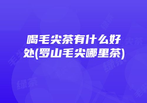 喝毛尖茶有什么好处(罗山毛尖哪里茶)