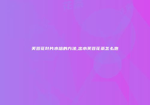 芙蓉花叶片水培的方法,出水芙蓉花茶怎么泡
