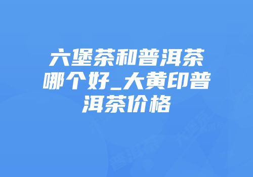 六堡茶和普洱茶哪个好_大黄印普洱茶价格