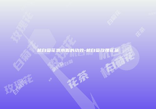 杭白菊花泡水喝的功效-杭白菊玫瑰花茶