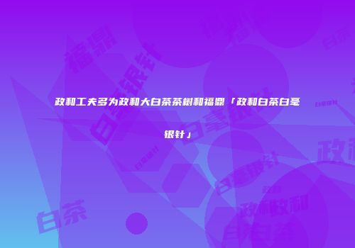 政和工夫多为政和大白茶茶树和福鼎「政和白茶白毫银针」