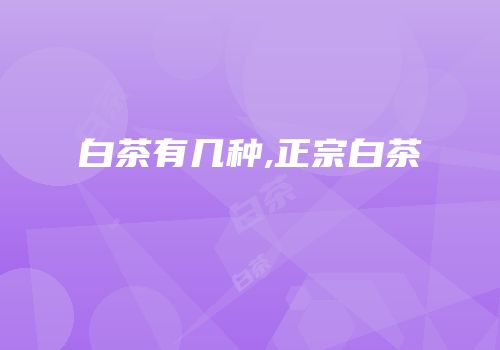 白茶有几种,正宗白茶
