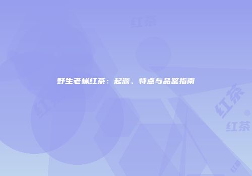 野生老枞红茶：起源、特点与品鉴指南