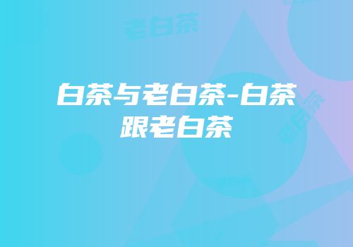 白茶与老白茶-白茶跟老白茶