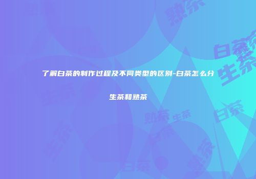 了解白茶的制作过程及不同类型的区别-白茶怎么分生茶和熟茶
