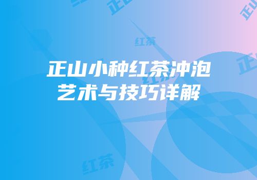 正山小种红茶冲泡艺术与技巧详解