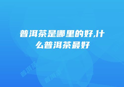 普洱茶是哪里的好,什么普洱茶最好