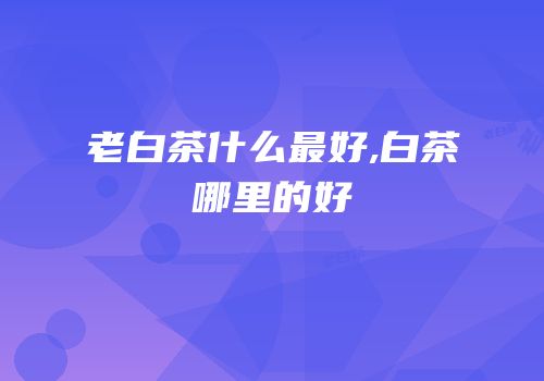 老白茶什么最好,白茶哪里的好