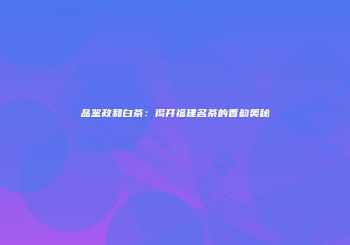 品鉴政和白茶：揭开福建名茶的香韵奥秘