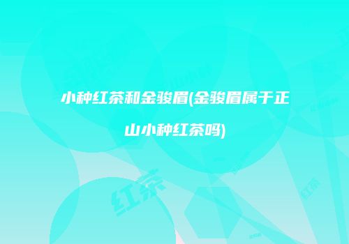 小种红茶和金骏眉(金骏眉属于正山小种红茶吗)