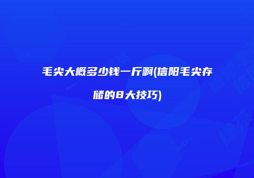 毛尖大概多少钱一斤啊(信阳毛尖存储的8大技巧)