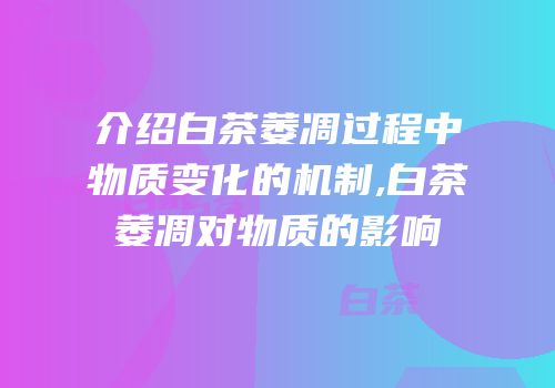 介绍白茶萎凋过程中物质变化的机制,白茶萎凋对物质的影响