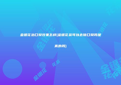 金银花治口臭效果怎样(金银花茶可以去除口臭吗是真的吗)