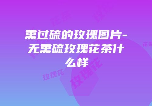 熏过硫的玫瑰图片-无熏硫玫瑰花茶什么样
