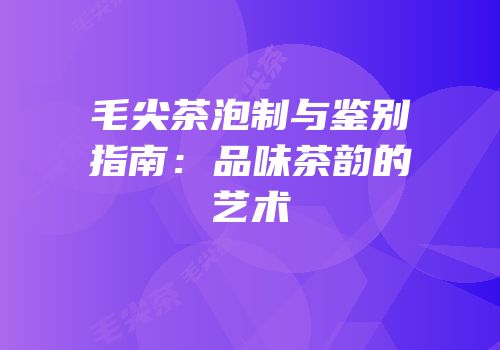 毛尖茶泡制与鉴别指南：品味茶韵的艺术