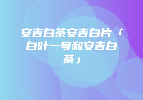 安吉白茶安吉白片「白叶一号和安吉白茶」