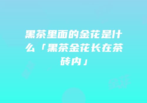 黑茶里面的金花是什么「黑茶金花长在茶砖内」