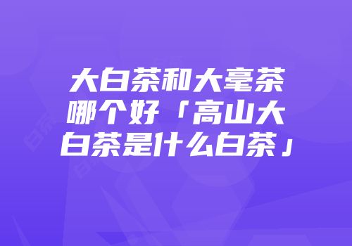 大白茶和大毫茶哪个好「高山大白茶是什么白茶」