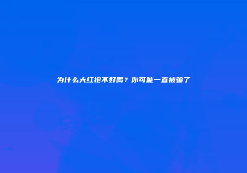 为什么大红袍不好喝？你可能一直被骗了