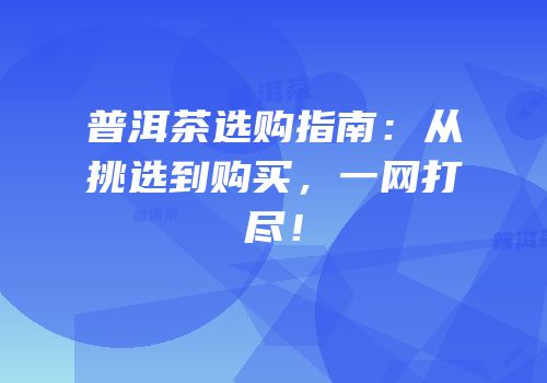 普洱茶选购指南：从挑选到购买，一网打尽！