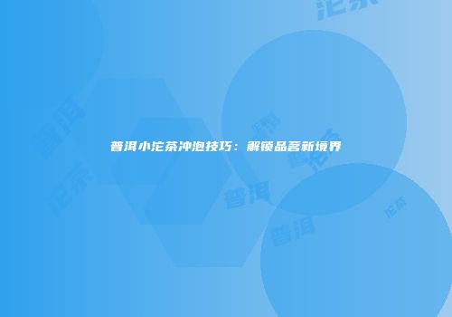 普洱小沱茶冲泡技巧：解锁品茗新境界