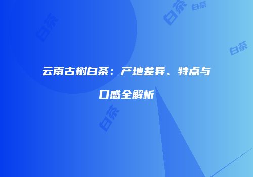 云南古树白茶：产地差异、特点与口感全解析