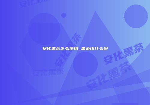 安化黑茶怎么使用_黑茶用什么碗