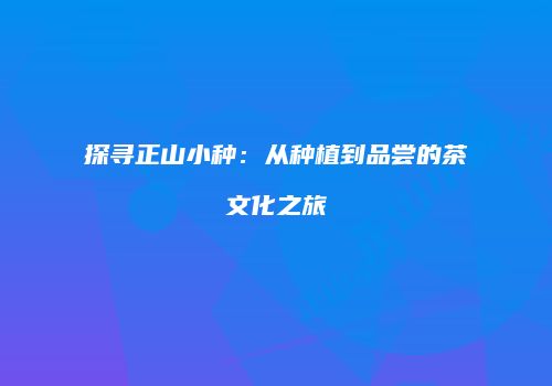 探寻正山小种：从种植到品尝的茶文化之旅