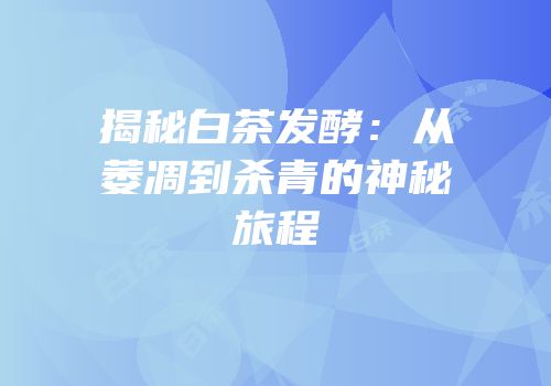 揭秘白茶发酵：从萎凋到杀青的神秘旅程