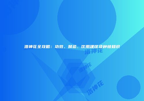 洛神花全攻略：功效、禁忌、饮用建议及种植知识