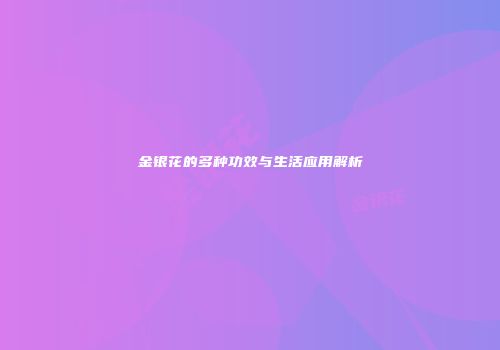 金银花的多种功效与生活应用解析