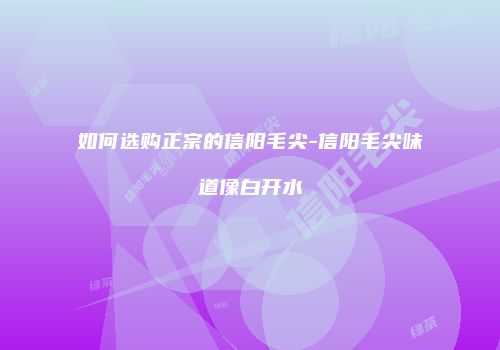 如何选购正宗的信阳毛尖-信阳毛尖味道像白开水
