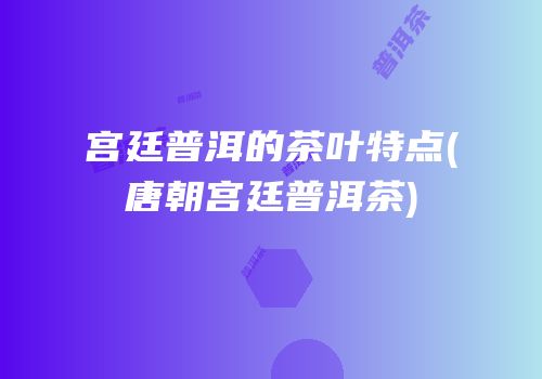 宫廷普洱的茶叶特点(唐朝宫廷普洱茶)