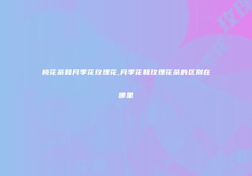 桃花茶和月季花玫瑰花,月季花和玫瑰花茶的区别在哪里