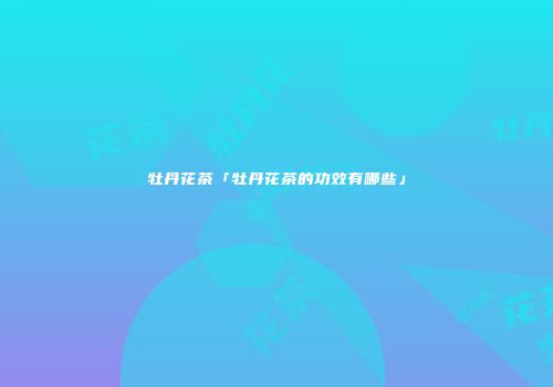 牡丹花茶「牡丹花茶的功效有哪些」