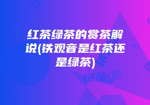红茶绿茶的赏茶解说(铁观音是红茶还是绿茶)