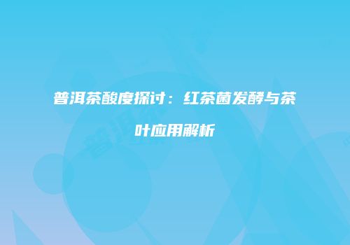 普洱茶酸度探讨：红茶菌发酵与茶叶应用解析