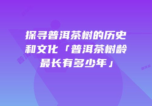 探寻普洱茶树的历史和文化「普洱茶树龄最长有多少年」