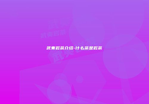 武夷岩茶介绍-什么茶是岩茶