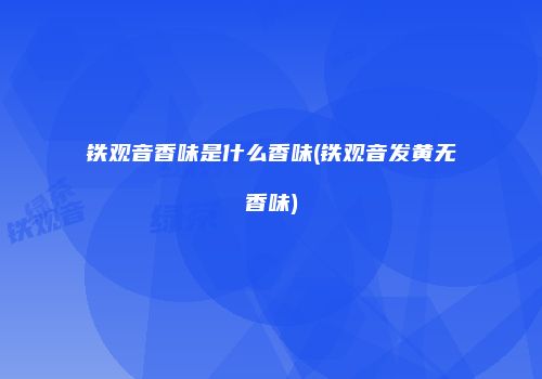 铁观音香味是什么香味(铁观音发黄无香味)