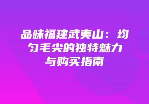 品味福建武夷山：均匀毛尖的独特魅力与购买指南