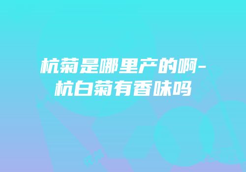 杭菊是哪里产的啊-杭白菊有香味吗