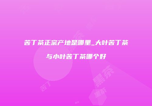 苦丁茶正宗产地是哪里_大叶苦丁茶与小叶苦丁茶哪个好