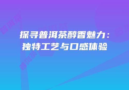 探寻普洱茶醇香魅力：独特工艺与口感体验