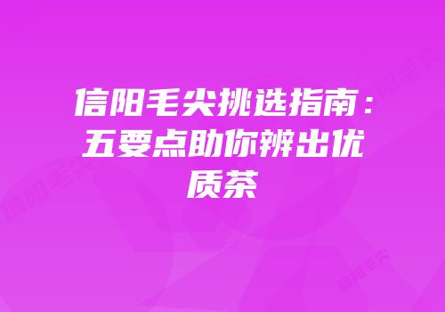 信阳毛尖挑选指南：五要点助你辨出优质茶