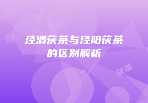 泾渭茯茶与泾阳茯茶的区别解析