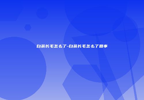 白茶长毛怎么了-白茶长毛怎么了回事
