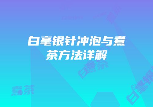 白毫银针冲泡与煮茶方法详解