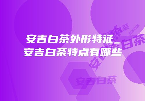 安吉白茶外形特征_安吉白茶特点有哪些
