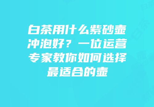白茶用什么紫砂壶冲泡好？一位运营专家教你如何选择最适合的壶